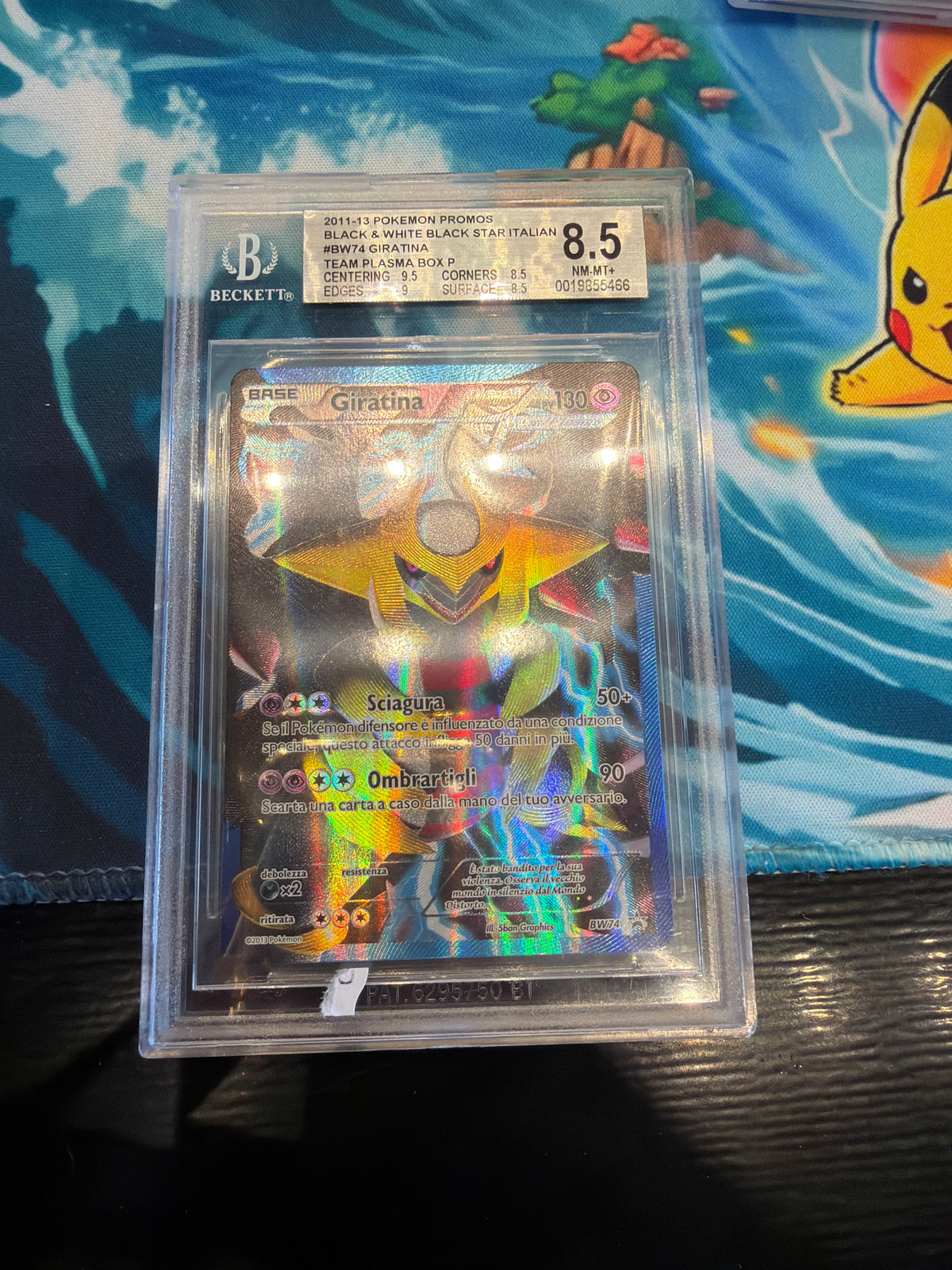 Giratina (BW 74) bgs 8.5