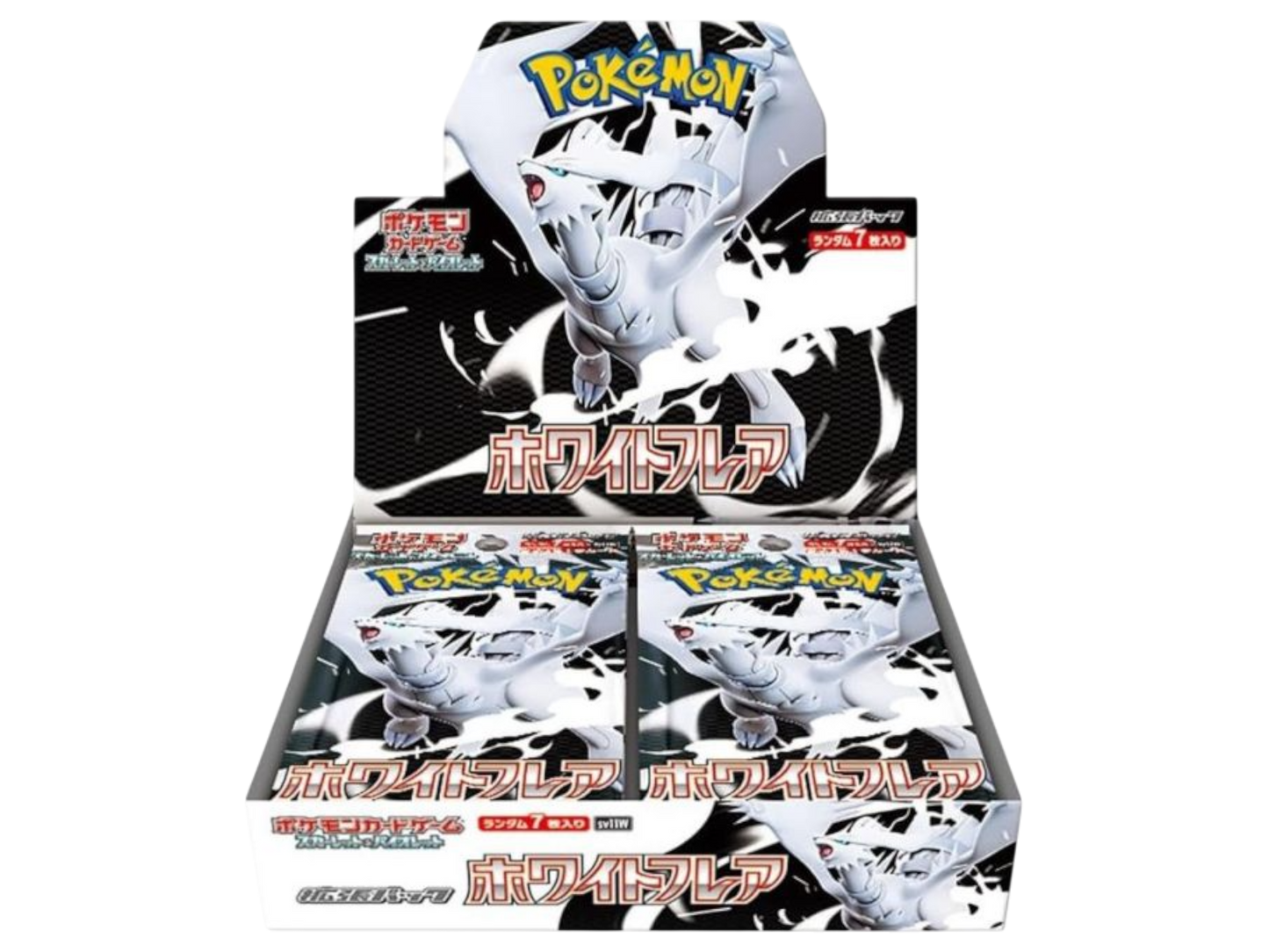 Sezione JP PKM – White Flare